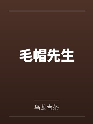 毛帽先生