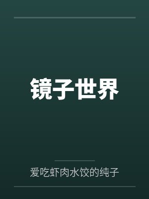 镜子世界 镜子世界