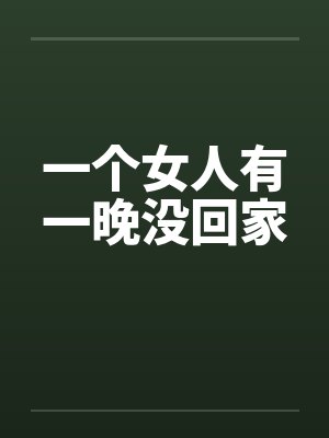 一个女人有一晚没回家 一个女人有一晚没回家