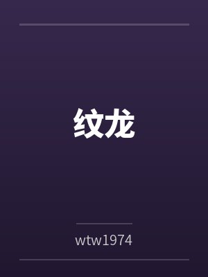 文龙韩冰 文龙韩冰