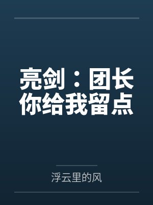 亮剑:团长你给我留点 亮剑:团长你给我留点