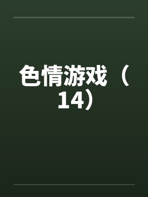 色情游戏（14）
