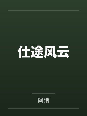 仕途风云 仕途风云