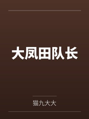 大凤田队长