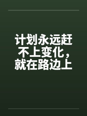 计划永远赶不上变化,就在路边上了! 计划永远赶不上变化,就在路边上了!