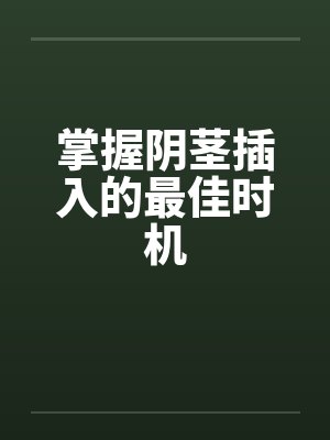 掌握阴茎插入的最佳时机 掌握阴茎插入的最佳时机