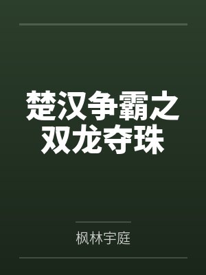 楚汉争霸之双龙夺珠