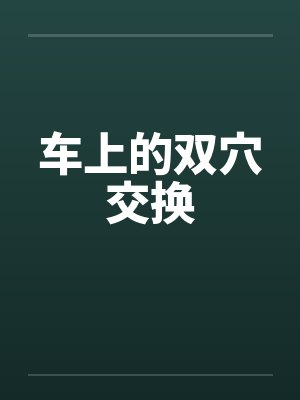 车上的双穴交换 车上的双穴交换