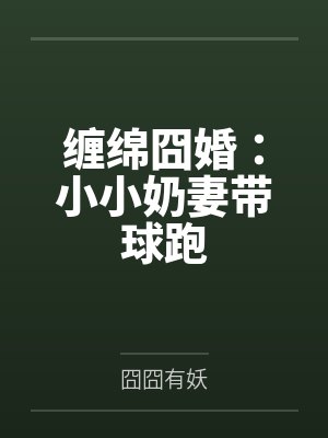 缠绵囧婚：小小奶妻带球跑by囧囧有妖